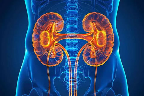 Kidney Health