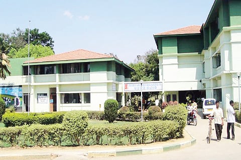 kochimul