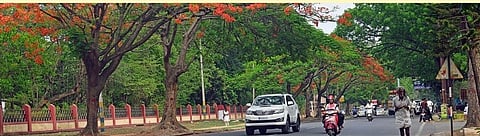 mysore