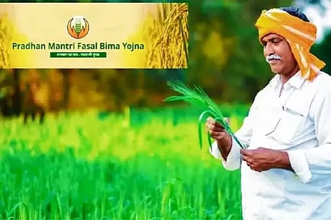 pasal bima