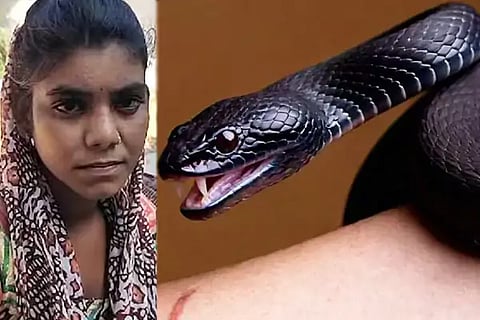Snake