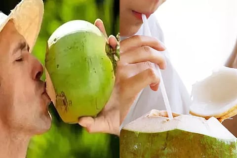 Tender coconut