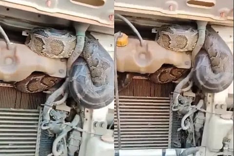video