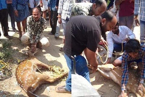 ವಿಜಯವಾಣಿ (16)