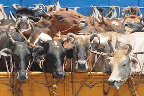 ವಿಜಯವಾಣಿ (2)