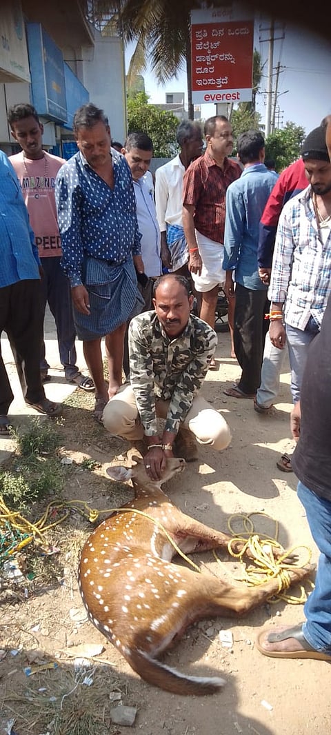 02Rajesh5