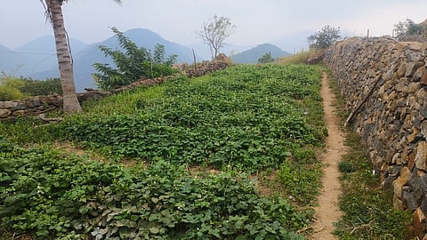 11-kglphoto-1