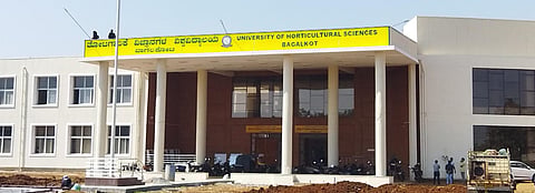 21 Devihosur Horticulture University 1