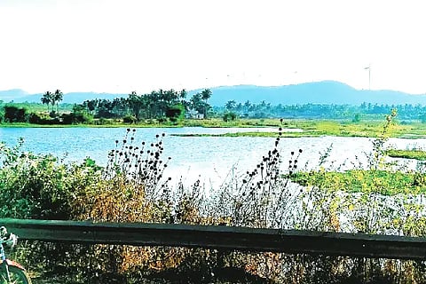 23 HNL