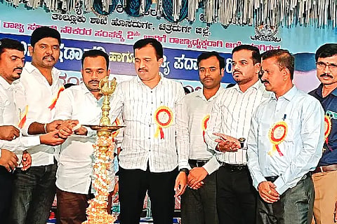 23 HSD