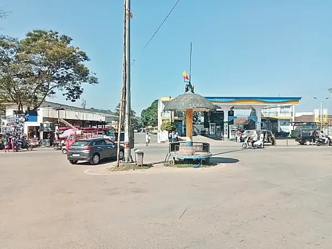 6-MDG-1P3