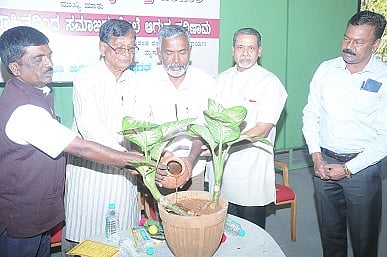 mysore