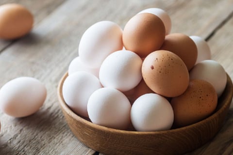 Egg
