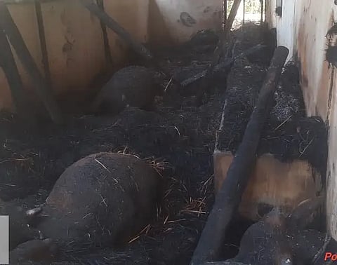 Fire Incident
