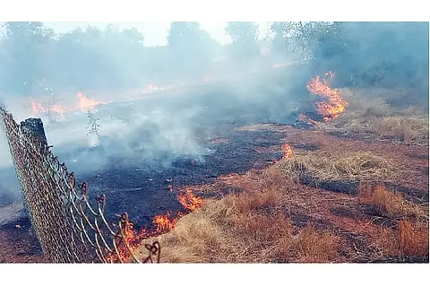 HNR FIRE
