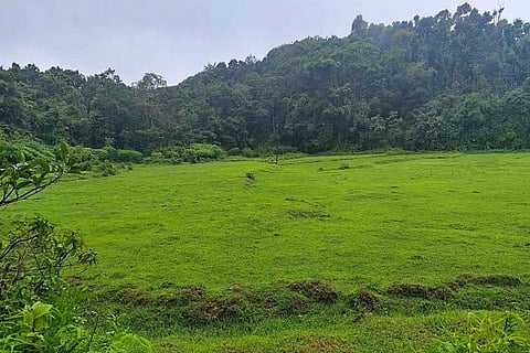 LAND