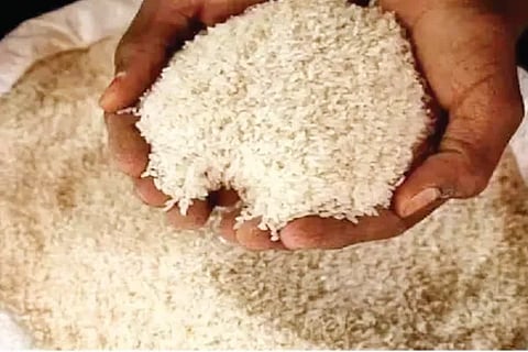 Rice