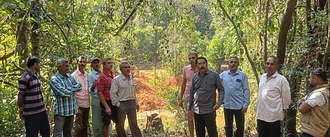 Sirsi 