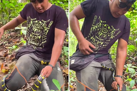 Snake bites mans private parts 