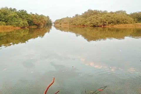 Ull_River Road