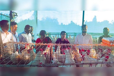 Yalaburga ZP CEO visit to poultry form