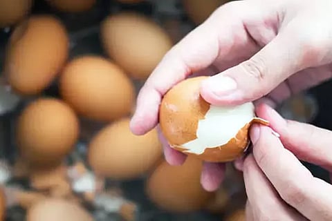 Boiled Egg