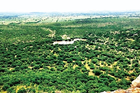 dvg-rangayyana-durga.jpg