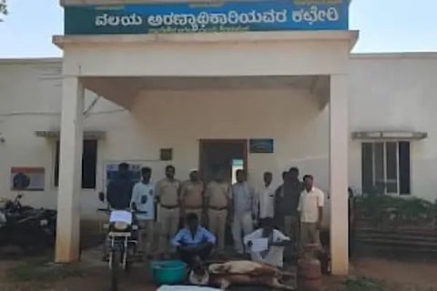 forest dept news