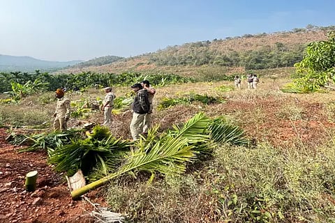 forest dept
