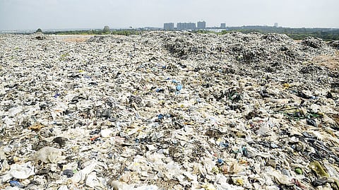 gar