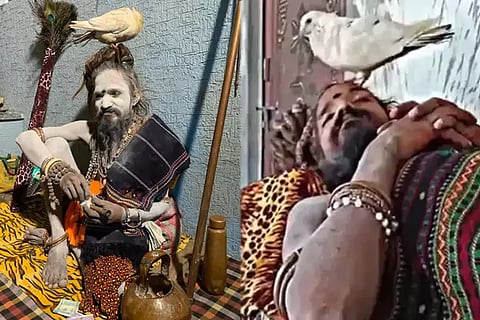 Kabutar Wale Baba