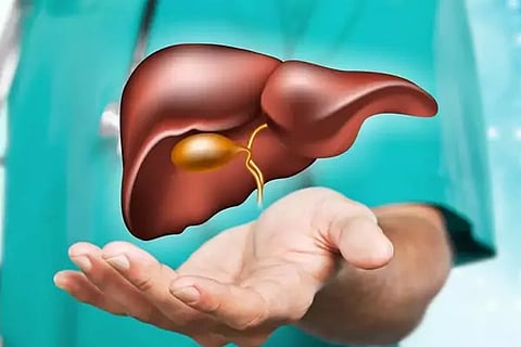 Liver Health