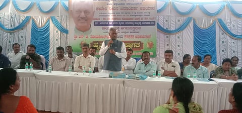mla
