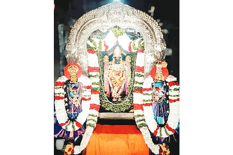 sdp venkatesh