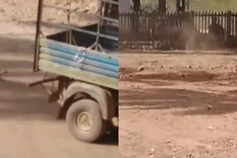 shivmogga dog case