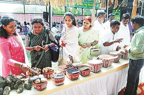mysore