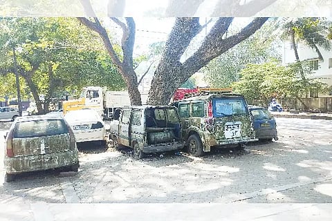 vehicles