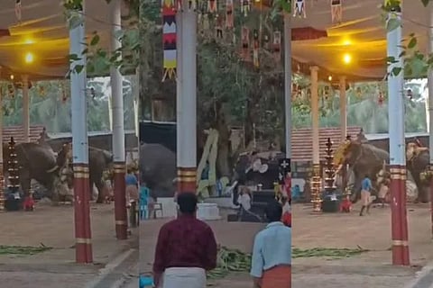 ವಿಜಯವಾಣಿ - 2025-02-13T202954.951