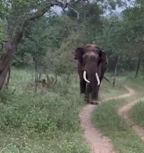 12rajesh5