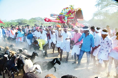 12ujjani1