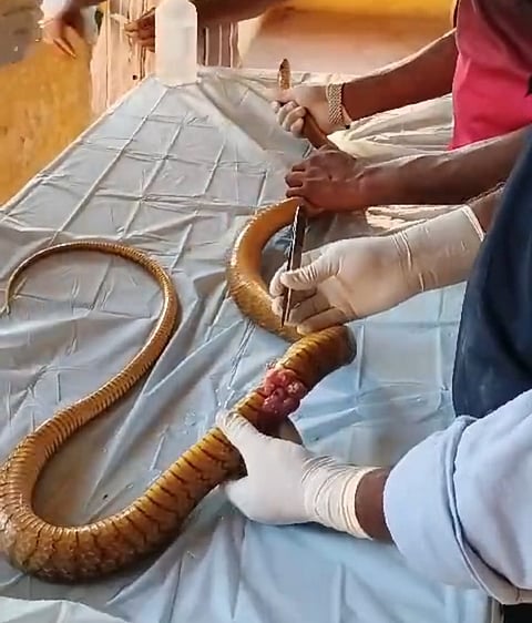 15rajesh4