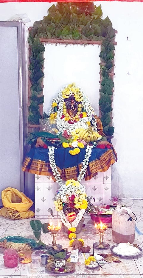 17 KAMPLI 03