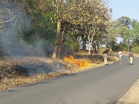 ಅರಣ್ಯ ರಕ್ಷಣೆಗೆ ಸಿಬ್ಬಂದಿ ಸಿದ್ಧತೆ