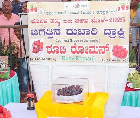 district koppal greps mela costly greps