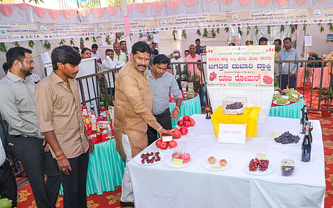 district shivaratri fruts mela minister shivaraj tangadagi
