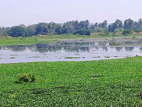 29-bidadi-1 (1)