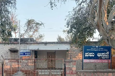 A non-existent animal hospital