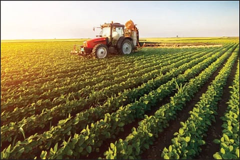 Agriculture