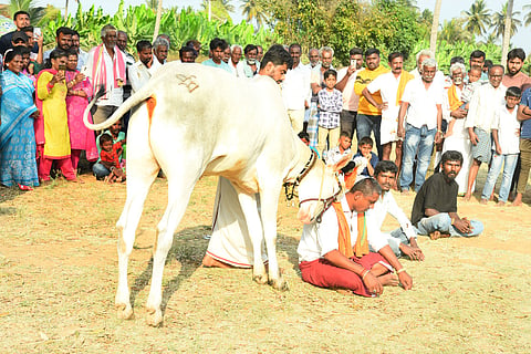 Basappa chose the priest Mandya