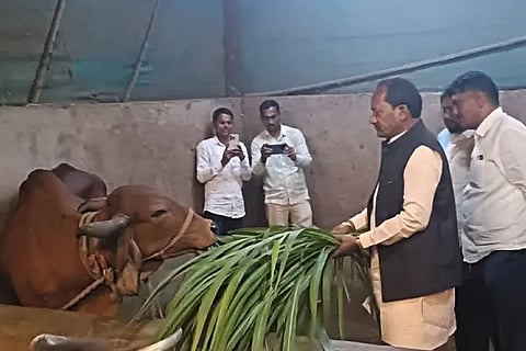 Congress government has failed in cow protection